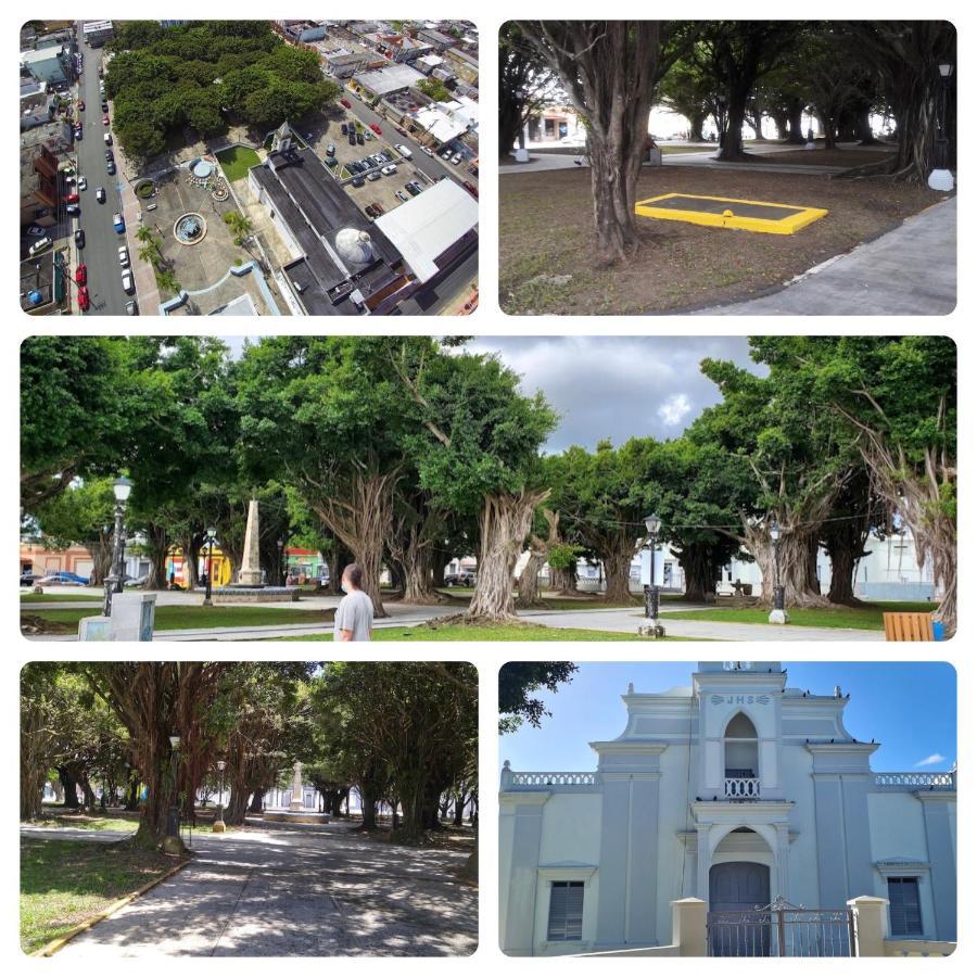 Lacasitadelmalecon Naguabo Exteriör bild